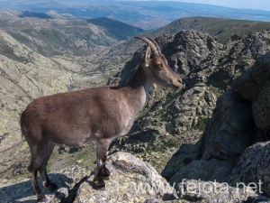 Nombre del archivo=130711_036.jpg
Tamaño del archivo=301Kb
Dimensiones=500x375
Fecha añadida=23 de Agosto de 13 130711_036.jpg