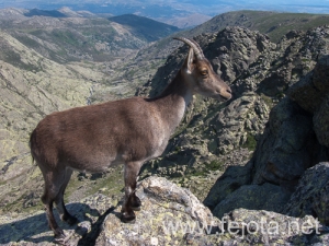 Nombre del archivo=130711_037.jpg
Tamaño del archivo=306Kb
Dimensiones=500x375
Fecha añadida=23 de Agosto de 13 130711_037.jpg