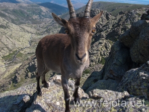 Nombre del archivo=130711_038.jpg
Tamaño del archivo=307Kb
Dimensiones=500x375
Fecha añadida=23 de Agosto de 13 130711_038.jpg