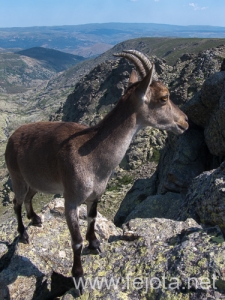 Nombre del archivo=130711_039.jpg
Tamaño del archivo=287Kb
Dimensiones=375x500
Fecha añadida=23 de Agosto de 13 130711_039.jpg