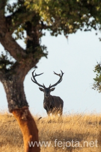 Nombre del archivo=130915_140.jpg
Tamaño del archivo=119Kb
Dimensiones=332x500
Fecha añadida=22 de Octubre de 13 130915_140.jpg