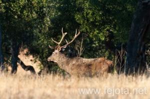 Nombre del archivo=130915_153.jpg
Tamaño del archivo=207Kb
Dimensiones=500x332
Fecha añadida=22 de Octubre de 13 130915_153.jpg