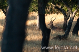 Nombre del archivo=130915_169.jpg
Tamaño del archivo=123Kb
Dimensiones=500x332
Fecha añadida=22 de Octubre de 13 130915_169.jpg