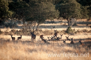 Nombre del archivo=130916_019.jpg
Tamaño del archivo=151Kb
Dimensiones=500x332
Fecha añadida=22 de Octubre de 13 130916_019.jpg