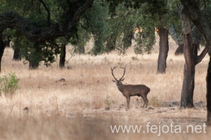 Nombre del archivo=130916_044.jpg
Tamaño del archivo=133Kb
Dimensiones=500x332
Fecha añadida=22 de Octubre de 13 130916_044.jpg