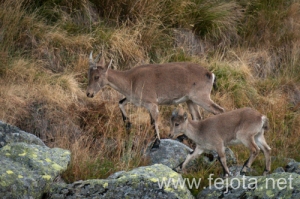Nombre del archivo=130920_006.jpg
Tamaño del archivo=161Kb
Dimensiones=500x332
Fecha añadida=23 de Octubre de 13 130920_006.jpg