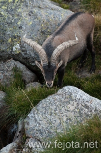 Nombre del archivo=130920_019.jpg
Tamaño del archivo=164Kb
Dimensiones=332x500
Fecha añadida=23 de Octubre de 13 130920_019.jpg