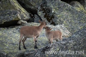 Nombre del archivo=130920_021.jpg
Tamaño del archivo=168Kb
Dimensiones=499x332
Fecha añadida=23 de Octubre de 13 130920_021.jpg