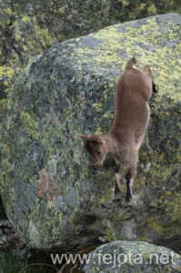 Nombre del archivo=130920_022.jpg
Tamaño del archivo=177Kb
Dimensiones=332x500
Fecha añadida=23 de Octubre de 13 130920_022.jpg