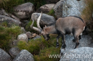 Nombre del archivo=130920_023.jpg
Tamaño del archivo=152Kb
Dimensiones=500x332
Fecha añadida=23 de Octubre de 13 130920_023.jpg