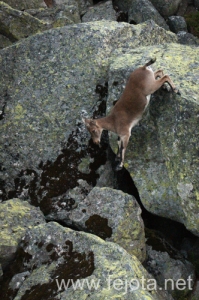 Nombre del archivo=130920_032.jpg
Tamaño del archivo=177Kb
Dimensiones=332x500
Fecha añadida=23 de Octubre de 13 130920_032.jpg