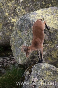 Nombre del archivo=130920_044.jpg
Tamaño del archivo=187Kb
Dimensiones=332x500
Fecha añadida=23 de Octubre de 13 130920_044.jpg