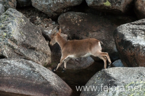 Nombre del archivo=130920_049.jpg
Tamaño del archivo=150Kb
Dimensiones=500x332
Fecha añadida=23 de Octubre de 13 130920_049.jpg