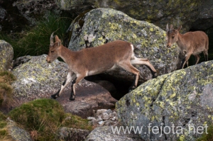 Nombre del archivo=130920_051.jpg
Tamaño del archivo=174Kb
Dimensiones=500x332
Fecha añadida=23 de Octubre de 13 130920_051.jpg