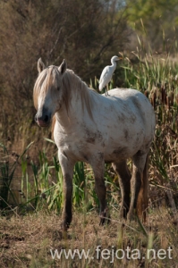 Nombre del archivo=131023_012.jpg
Tamaño del archivo=138Kb
Dimensiones=332x500
Fecha añadida=25 de Octubre de 13 131023_012.jpg