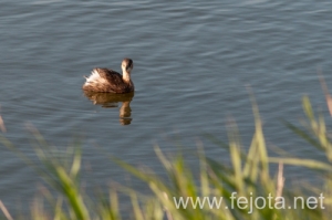 Nombre del archivo=131023_075.jpg
Tamaño del archivo=81Kb
Dimensiones=500x332
Fecha añadida=26 de Octubre de 13 131023_075.jpg