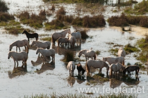 Nombre del archivo=131023_111.jpg
Tamaño del archivo=152Kb
Dimensiones=500x332
Fecha añadida=26 de Octubre de 13 131023_111.jpg