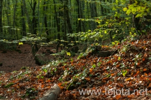 Nombre del archivo=131105_058.jpg
Tamaño del archivo=348Kb
Dimensiones=500x332
Fecha añadida=08 de Enero de 14 131105_058.jpg