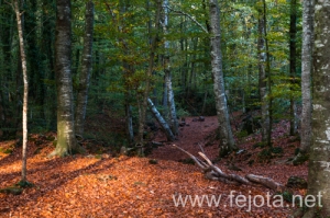 Nombre del archivo=131105_083.jpg
Tamaño del archivo=388Kb
Dimensiones=500x332
Fecha añadida=08 de Enero de 14 131105_083.jpg