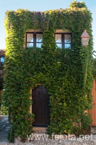 Nombre del archivo=131109_020.jpg
Tamaño del archivo=305Kb
Dimensiones=332x500
Fecha añadida=24 de Enero de 14 131109_020.jpg