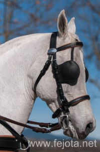 Nombre del archivo=140126_056.jpg
Tamaño del archivo=68Kb
Dimensiones=332x500
Fecha añadida=29 de Enero de 14 140126_056.jpg