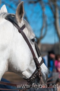 Nombre del archivo=140126_065.jpg
Tamaño del archivo=65Kb
Dimensiones=332x500
Fecha añadida=29 de Enero de 14 140126_065.jpg