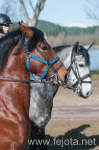 Nombre del archivo=140126_084.jpg
Tamaño del archivo=72Kb
Dimensiones=332x500
Fecha añadida=29 de Enero de 14 140126_084.jpg