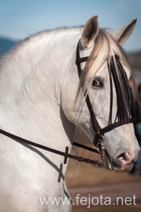 Nombre del archivo=140126_092.jpg
Tamaño del archivo=62Kb
Dimensiones=332x500
Fecha añadida=29 de Enero de 14 140126_092.jpg