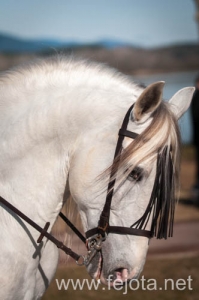 Nombre del archivo=140126_093.jpg
Tamaño del archivo=61Kb
Dimensiones=332x500
Fecha añadida=29 de Enero de 14 140126_093.jpg