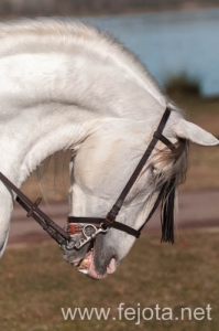 Nombre del archivo=140126_094.jpg
Tamaño del archivo=58Kb
Dimensiones=332x500
Fecha añadida=29 de Enero de 14 140126_094.jpg