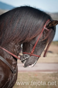 Nombre del archivo=140126_099.jpg
Tamaño del archivo=68Kb
Dimensiones=332x500
Fecha añadida=29 de Enero de 14 140126_099.jpg