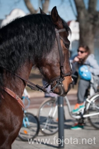 Nombre del archivo=140126_102.jpg
Tamaño del archivo=72Kb
Dimensiones=332x500
Fecha añadida=29 de Enero de 14 140126_102.jpg