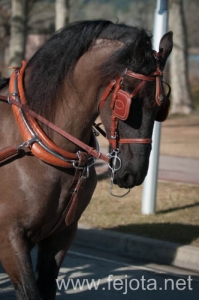 Nombre del archivo=140126_110.jpg
Tamaño del archivo=69Kb
Dimensiones=332x500
Fecha añadida=29 de Enero de 14 140126_110.jpg