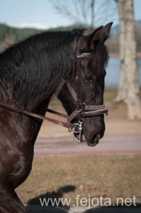 Nombre del archivo=140126_115.jpg
Tamaño del archivo=60Kb
Dimensiones=332x500
Fecha añadida=29 de Enero de 14 140126_115.jpg