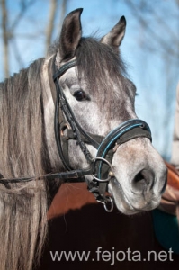 Nombre del archivo=140126_124.jpg
Tamaño del archivo=75Kb
Dimensiones=332x500
Fecha añadida=29 de Enero de 14 140126_124.jpg