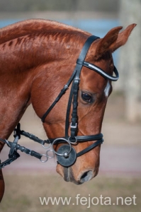 Nombre del archivo=140126_130.jpg
Tamaño del archivo=66Kb
Dimensiones=332x500
Fecha añadida=29 de Enero de 14 140126_130.jpg