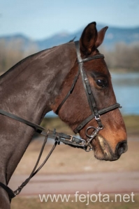 Nombre del archivo=140126_132.jpg
Tamaño del archivo=59Kb
Dimensiones=332x500
Fecha añadida=29 de Enero de 14 140126_132.jpg