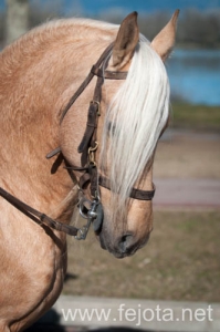 Nombre del archivo=140126_146.jpg
Tamaño del archivo=67Kb
Dimensiones=332x500
Fecha añadida=29 de Enero de 14 140126_146.jpg