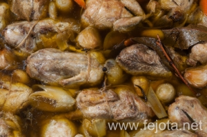 Nombre del archivo=140206_035.jpg
Tamaño del archivo=151Kb
Dimensiones=500x332
Fecha añadida=12 de Febrero de 14 140206_035.jpg