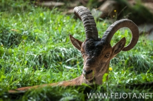 Nombre del archivo=140910_210.jpg
Tamaño del archivo=153Kb
Dimensiones=500x332
Fecha añadida=16 de Enero de 15 140910_210.jpg