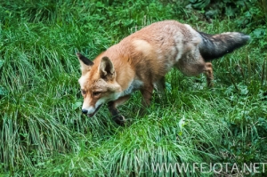 Nombre del archivo=140910_290.jpg
Tamaño del archivo=206Kb
Dimensiones=500x332
Fecha añadida=16 de Enero de 15 140910_290.jpg